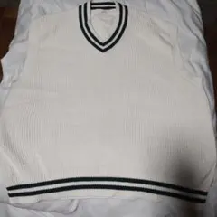 ホワイト Vネックベスト Mサイズ