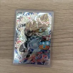 ドラゴンボールヒーローズ バーダックゼノ SEC 本家