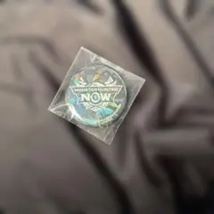 Item thumbnail for item 6a437e52-61fd-4672-9547-4af8c4b7933d