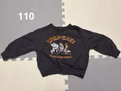 Item thumbnail for item f1575537-9b6e-4859-bb32-3dcea6b07ff5