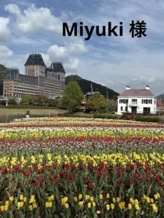 Miyuki 様　用　海外切手