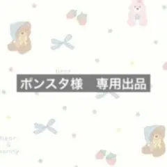 ポンスタ様　専用出品