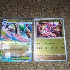 ポケモンカード メガエルレイドEX コライドン プロモ 2枚セット
