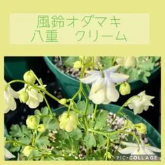 ゆう ☆プロフ必読お願いします☆様 リクエスト 4点 まとめ商品