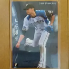プロ野球チップス 大谷翔平 2014 S-12 スターカード