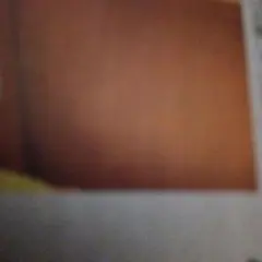 豆豆様