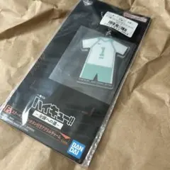 ハイキュー　一番くじ　全国への道　スクールアイコンボタン付きアクリルチャーム