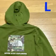 ノースフェイス ボックスロゴパーカー プルパーカーグリーンLサイズ新品タグ付