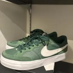 NIKE SB ZOOM POGO PLUS 24.5cm