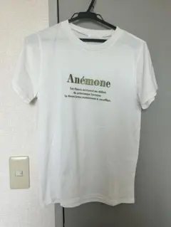 【夏物セール】半袖Tシャツ　刺繍
