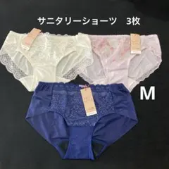 Mサイズ　トリンプ　レディース　サニタリーショーツ　 3枚のサムネイル
