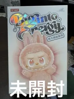 ラブブ ビッグイントゥエナジーBig int Energy happiness