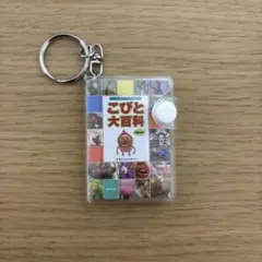 こびとづかん 豆本コレクション こびと大百科　小人図鑑　こびと大百科　知育　勉強