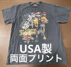 Item thumbnail for item cd8942e0-09f7-4146-965f-f74a753ce188