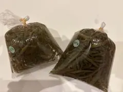 【新鮮】秋田県三種町産 生じゅんさい 1キロのサムネイル