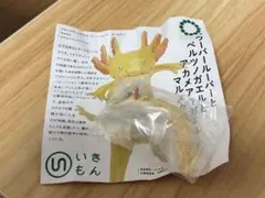 ウーパールーパー　ネイチャーテクニカラー