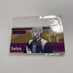 オトメイトパーティー オトパ チケット チャーム ナインリップ 聖ヤ