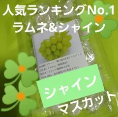 2026年最新】ムラマツ製菓の人気アイテム - メルカリ