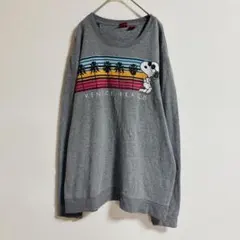 輸入古着　PEANUTS スヌーピーSNOOPY トレーナー　スウェット　3L