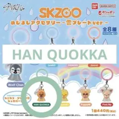 SKZOO めじるしアクセサリー スキズ