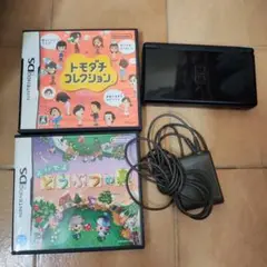 Nintendo DS Lite 本体とゲーム2本