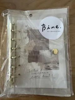 Item thumbnail for item 393debdb-f0ed-4bb6-8ce8-d4a157bb163b