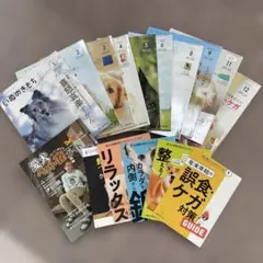 いぬのきもち2023年版(7.10月号を除く)10冊と付録冊子6冊