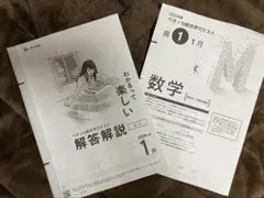 2021年度 進研模試 総集編 集冊版 英数国 セット 新品 高1 高2 高3 2025年最新】進研模試の人気アイテム - メルカリ