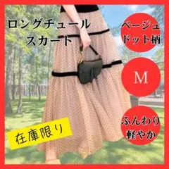 Item thumbnail for item 416e521f-6af5-4876-b712-cb30489aedc2