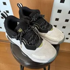 Item thumbnail for item aa472532-05ff-4a3f-a368-c4c1e56165b9