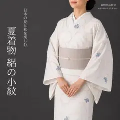 【夏159】夏着物 絽 小紋 単衣 白 対象身長～155cm 単品販売 送料無料のサムネイル