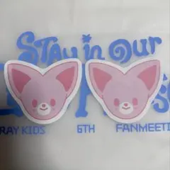 スキズ skzooペンミ 落下物 コンフェッティ フォクシニー 2枚セット