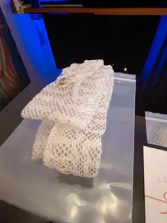 Item thumbnail for item fc293c69-ceeb-4d37-9b26-a838cf772994