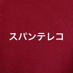 スパンテレコ　赤色　リブニット
