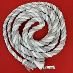 Item thumbnail for item 2fafba25-755b-4176-98b1-38fea6f20259