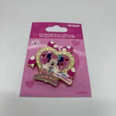 ピンバッジ パルパルーザ ミニーのファンダーランド