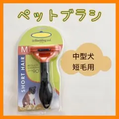 Item thumbnail for item 3c46002e-9beb-4a9e-982d-3b1e786e8433