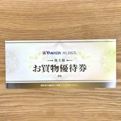 ヤマダホールディングス 株主優待券 3,000円分 (ヤマダデンキ)