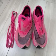 Item thumbnail for item f4ec4a16-8eb1-4fe2-9fca-a24c632ad333