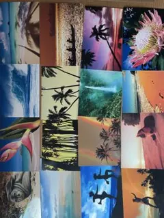 三好和義 楽園ポストカード 16枚セット