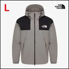 ノースフェイス マウンテンパーカー ロゴ刺繍 （L）