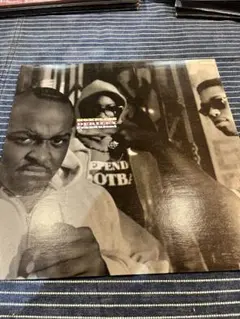 DJ Shadow Excessive Ephemera 2LP - メルカリ