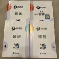 2026年最新】浜学園 理科 4年の人気アイテム - メルカリ