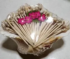 ハワイ　爪楊枝　貝付き