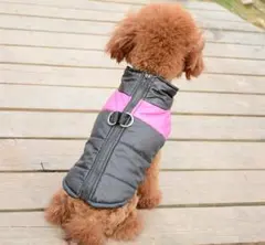 Item thumbnail for item 44dd30e2-05a8-4ab1-8e25-36dde9ba1744