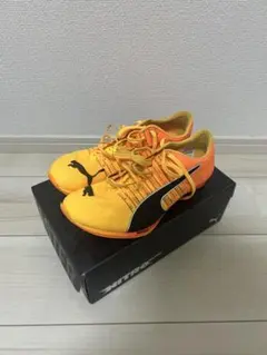 エヴォスピードニトロ400 25cm