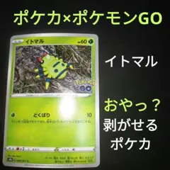 2026年最新】イトマル メタモンの人気アイテム - メルカリ