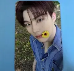 zb1 ヨントン トレカ