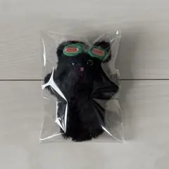 テサン アイドル