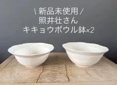 2026年最新】照井壮の人気アイテム - メルカリ